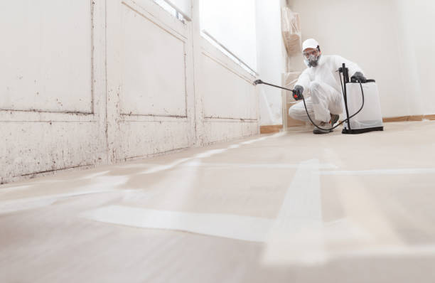 Post-remediation clearance in Bath